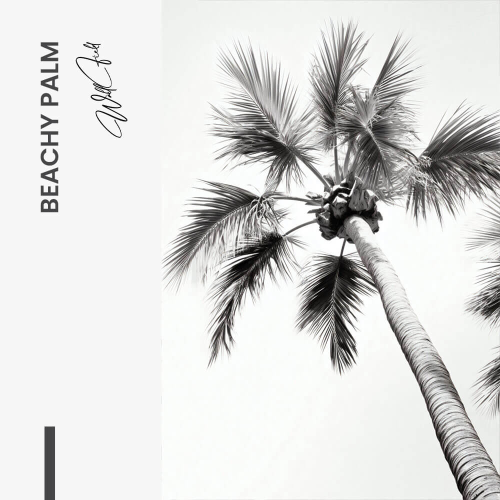 7. Design signature