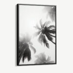 "Palm top"