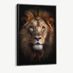"The Lion"