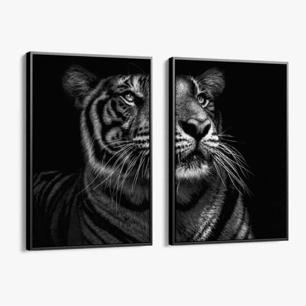 Lot: "B&W Tiger" (2x)
