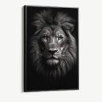 "Lion close-up"