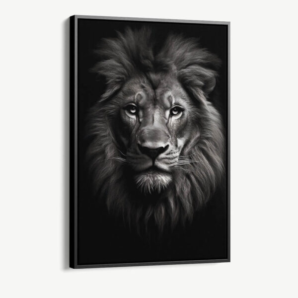"Lion close-up"