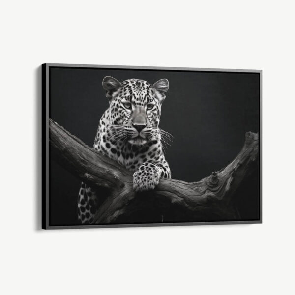 "Jaguar HZ"