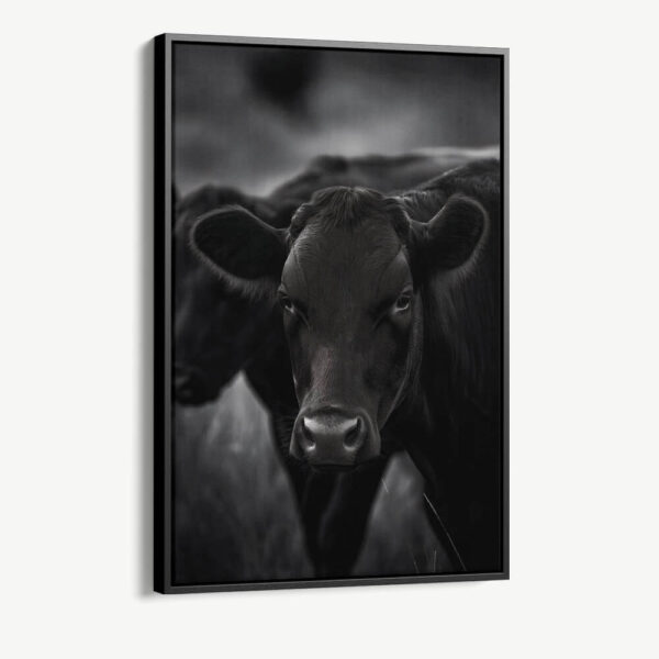 "The Cow"