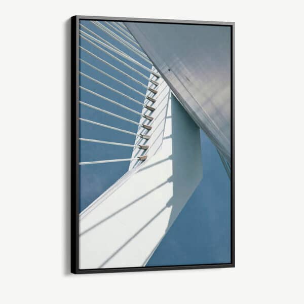 "Erasmusbrug"