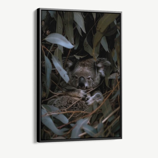 "Eucalyptus Dreams"