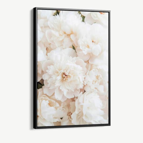 "White Roses"