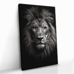 "Lion close-up" – Image 2