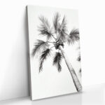 "Beachy Palm" – Image 2