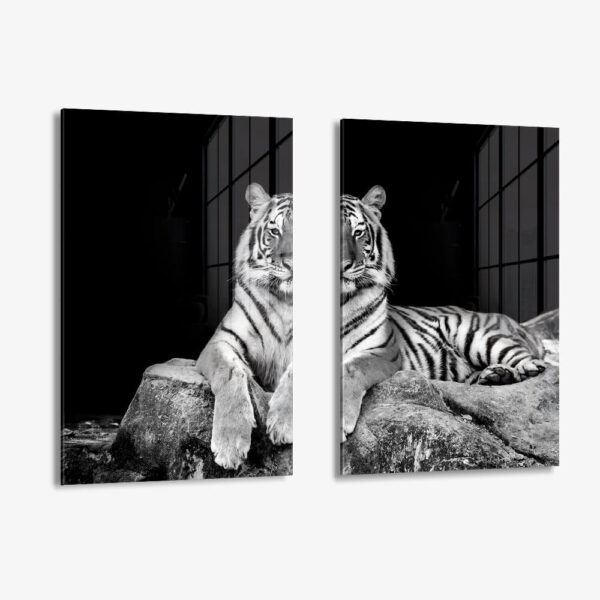 Lot: "White Tiger" (2x) – Verre