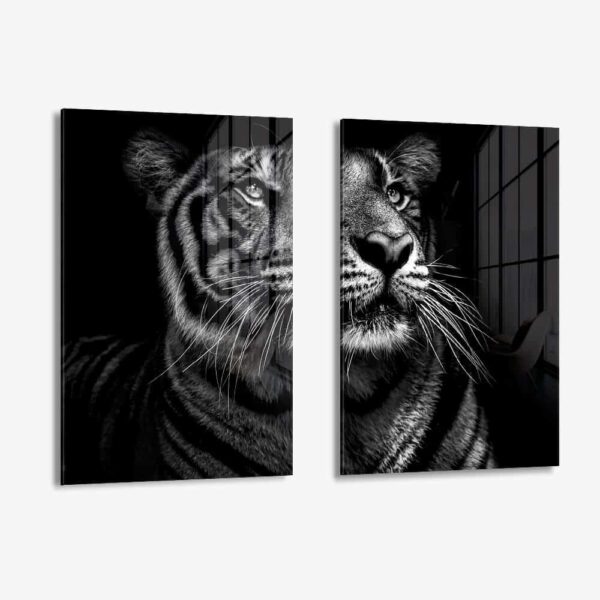 Lot: "B&W Tiger" (2x) – Verre
