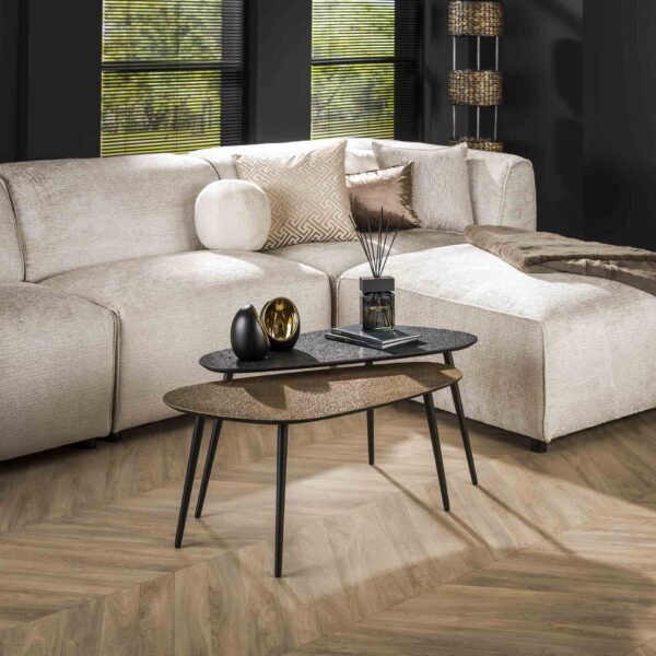 Table basse set/2 niervormig metallic / Gris