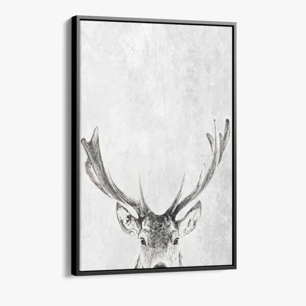 "Reindeer in snow"