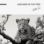 "Jaguard In The Tree" – Image 7