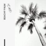 "Beachy Palm" – Image 7