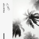 "Palm top" – Image 7