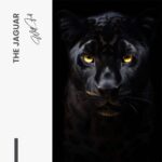 The Jaguar – Verre – Image 5