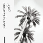 Under The Palm Trees – Verre – Image 5