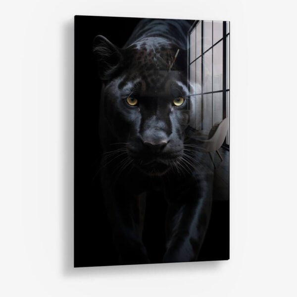 Black Jaguar – Verre