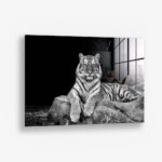 White Tiger – Verre