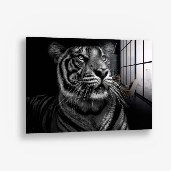 B&W Tiger – Verre