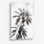Under The Palm Trees – Verre