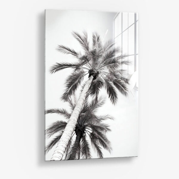 Under The Palm Trees – Verre