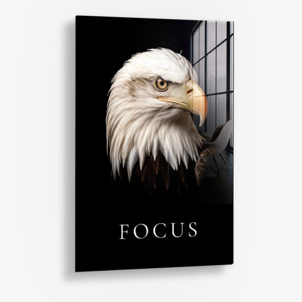 Focus – Verre