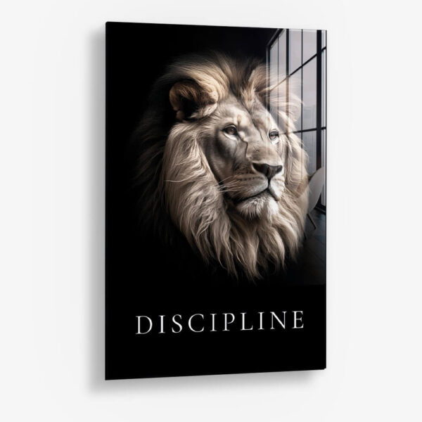 Discipline – Verre