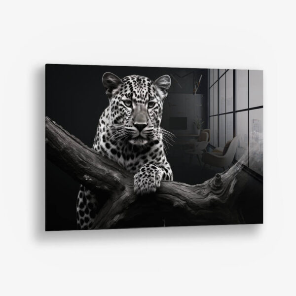 Jaguar HZ – Verre