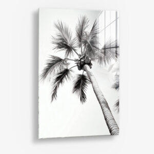 Beachy Palm – Verre