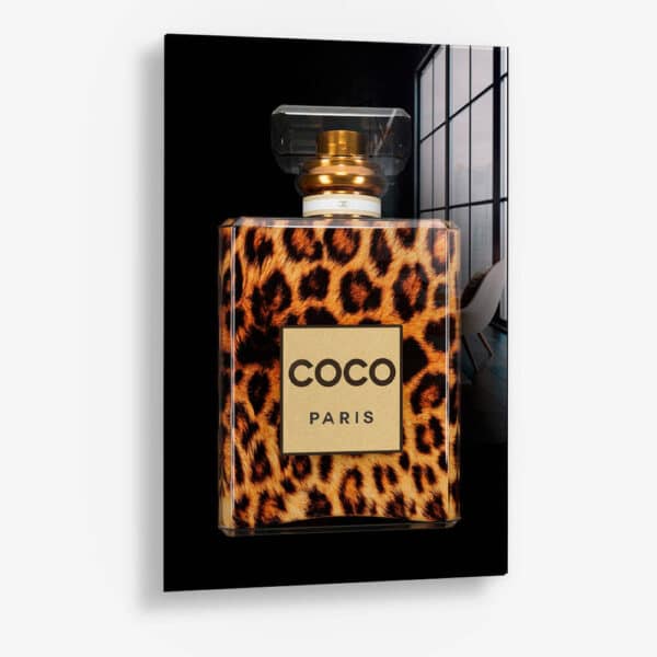 COCO Leo – Verre