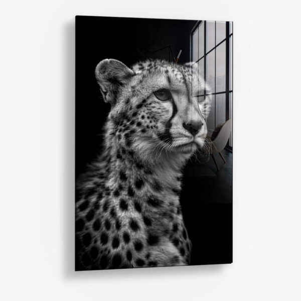 Cheetah's View – Verre