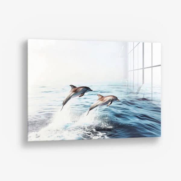 Dolphins – Verre