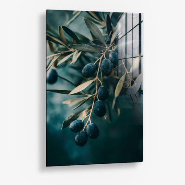 Olive Tree Closeup – Verre