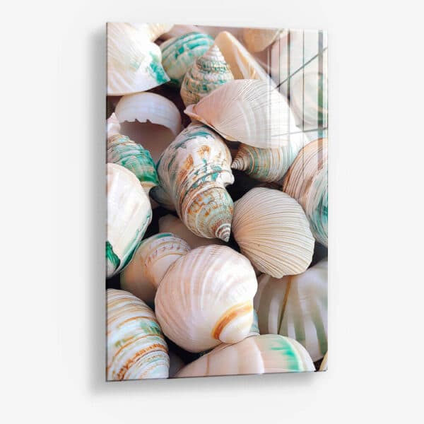Sea Shell – Verre