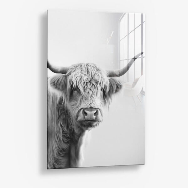 White Muscox – Verre