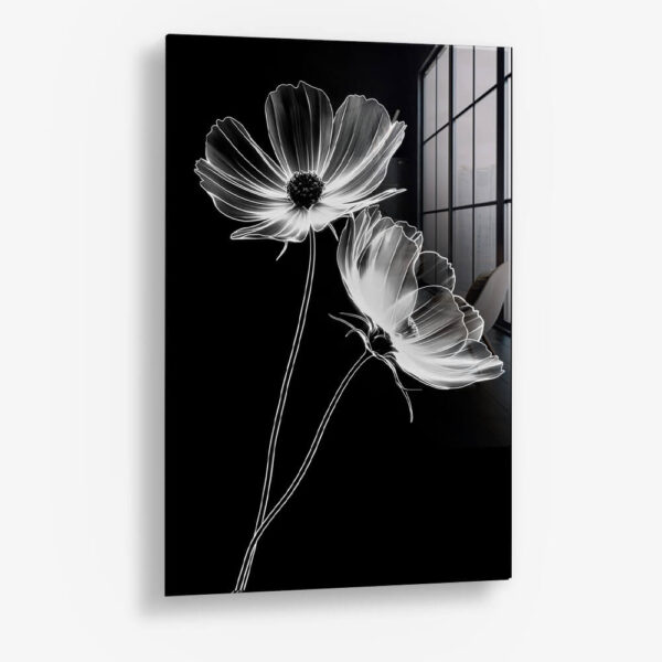 X-Ray Flowers – Verre