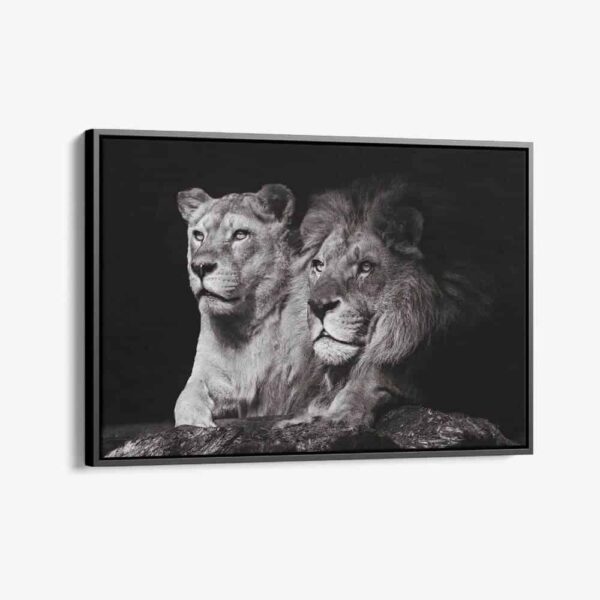 "Lion Couple"