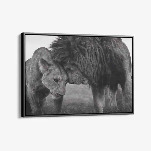 "Loving Lion"