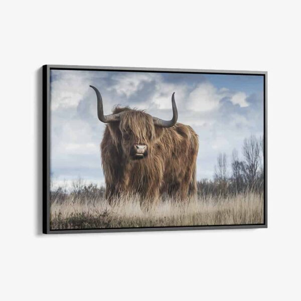 "Muskox"