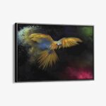 "Color Parrot"
