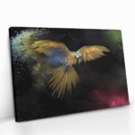 "Color Parrot" – Image 2
