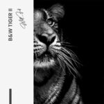 Lot: "B&W Tiger" (2x) – Verre – Image 6