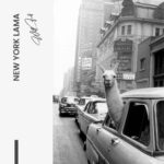 New York Lama – Verre – Image 5