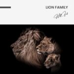 "Lion Family" – Image 7