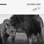 Loving Lion – Verre – Image 5