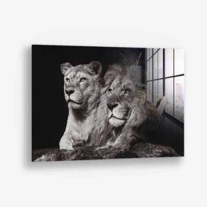 Lion Couple – Verre