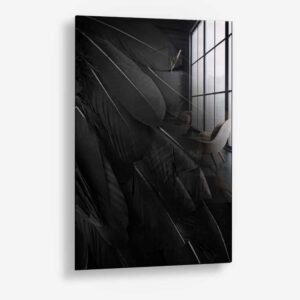 Black Feathers – Verre