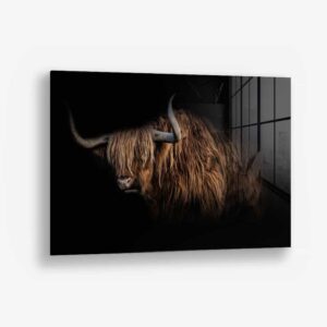 Highlander – Verre